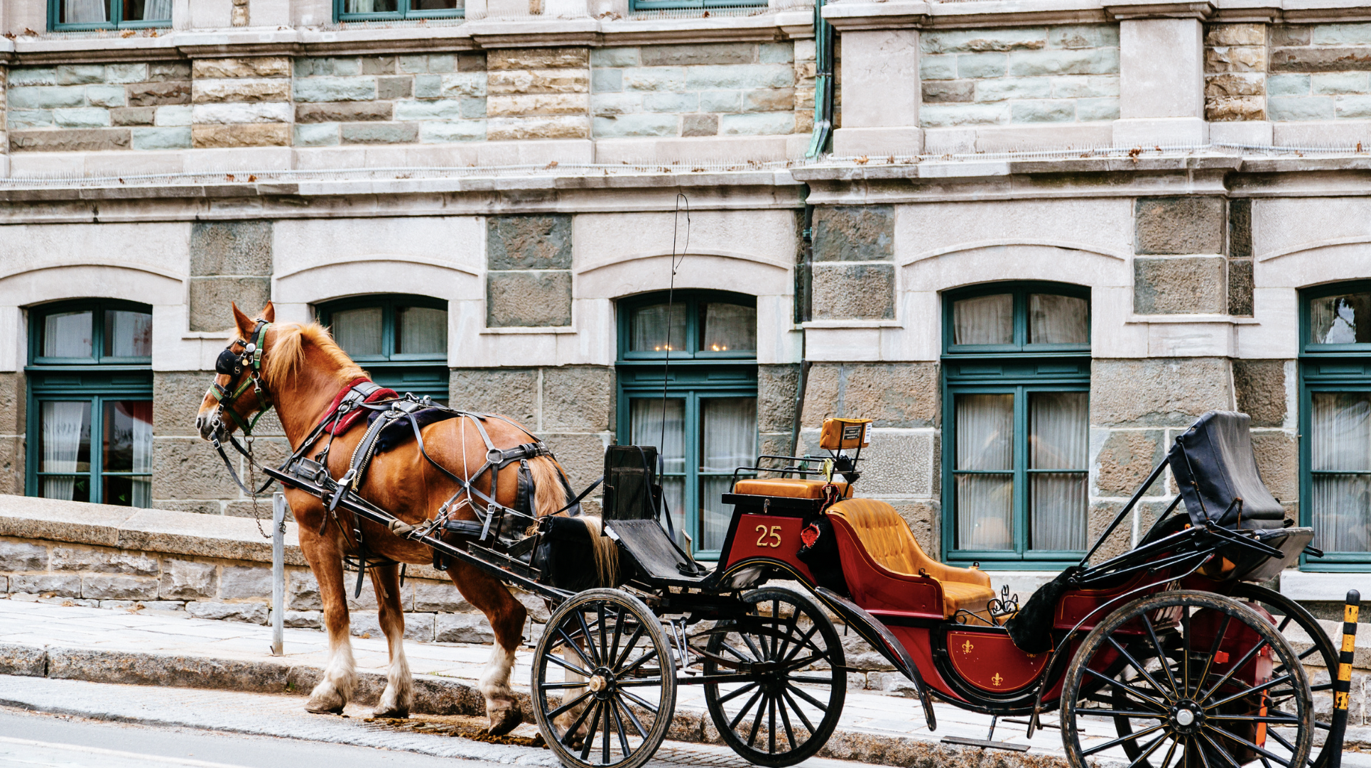 koets - koetsen - rouwkoets - uitvaartkoets - rouwvervoer - uitvaart - afscheid - paarden